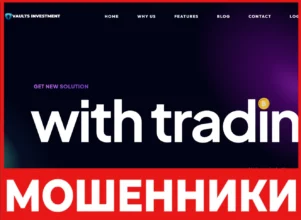 Vaults Investment лицевая сторона скрин