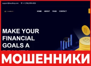 VaultsIQ лицевая сторона скрин