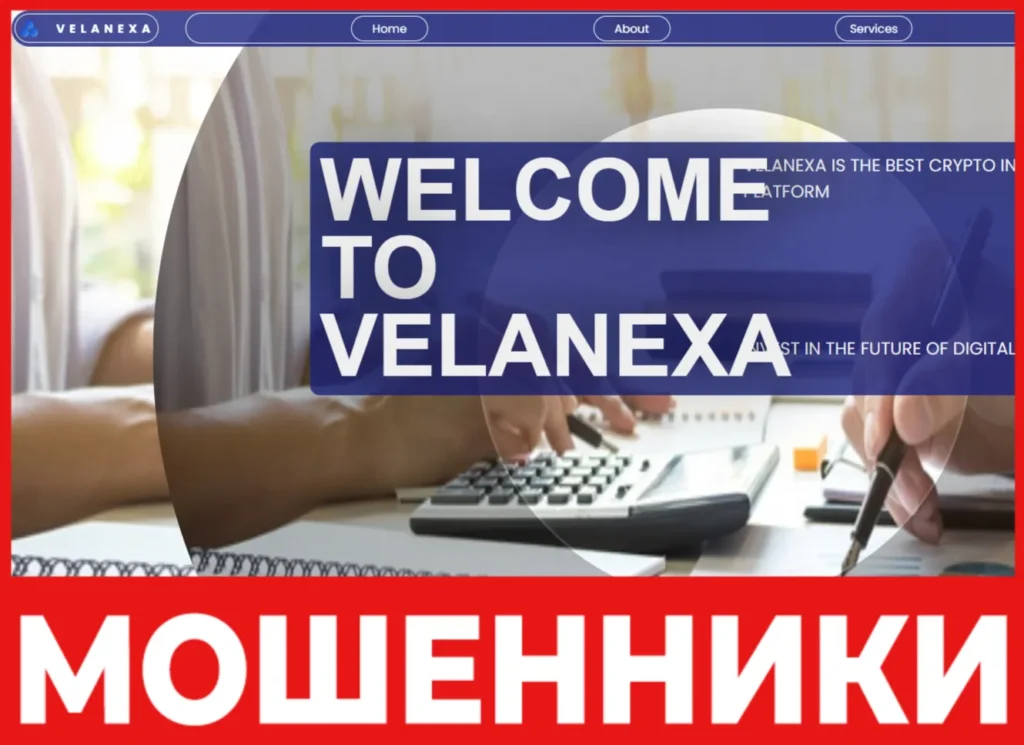 Velanexa лицевая сторона скрин