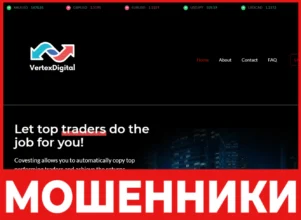 Vertex digital лицевая сторона скрин