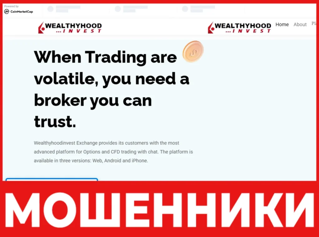 Wealthyhoodinvest лицевая сторона скрин