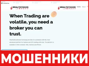 Wealthyhoodinvest лицевая сторона скрин