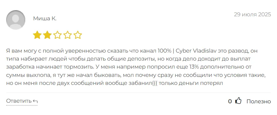 100% Cyber Vladislav_1 скрин