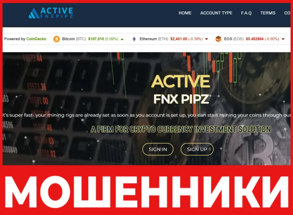 Active Fnx Pipz лицевая сторона скрин