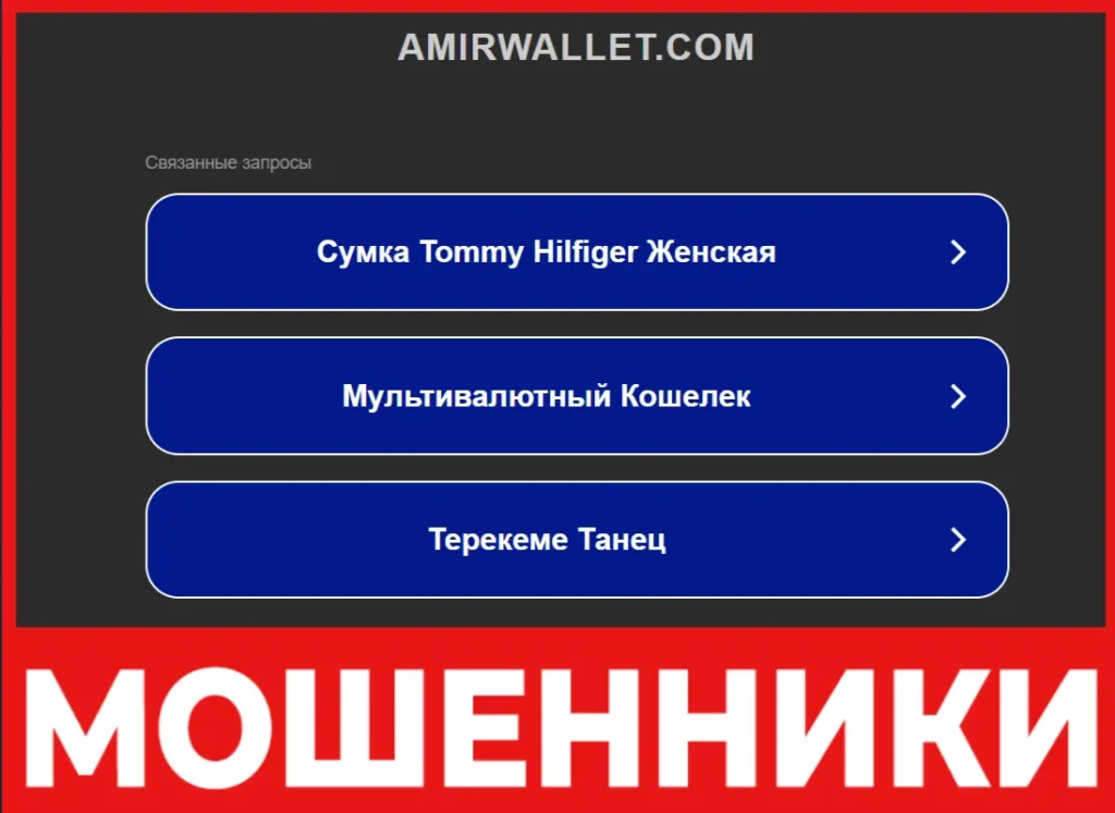 Amir Wallet лицевая сторона скрин
