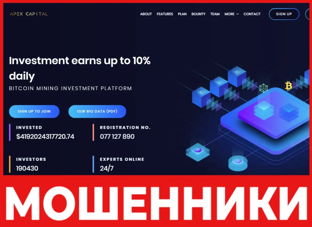 Apexscapitals лицевая сторона скрин