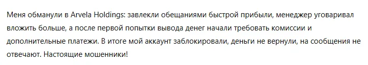 Arvela Holdings 3 скрин