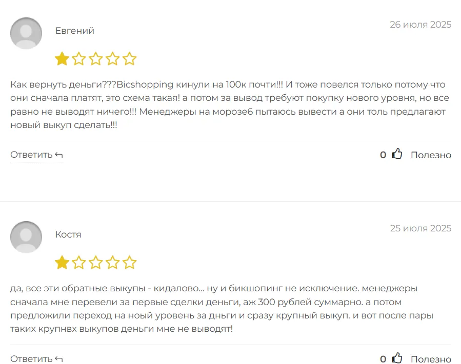 Bicshopping_1 скрин