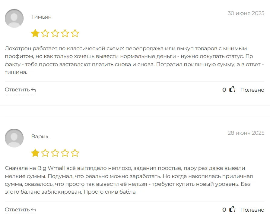 Big Wmall_1 скрин