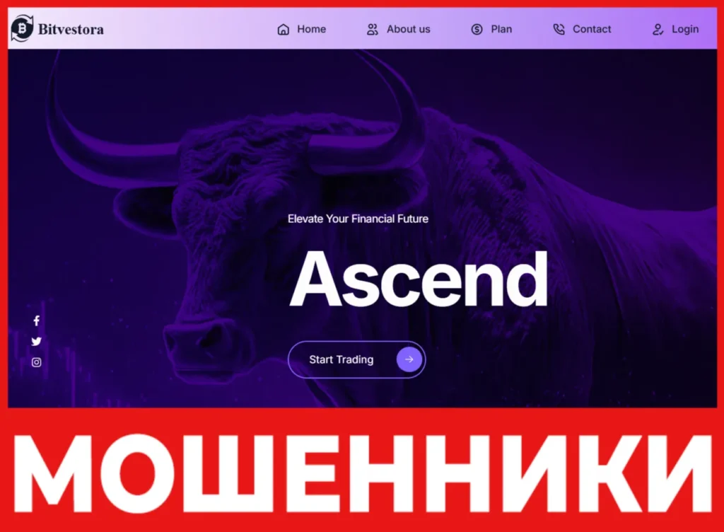 Bitvestora лицевая сторона скрин