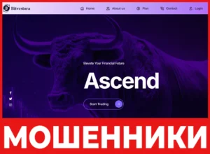 Bitvestora лицевая сторона скрин