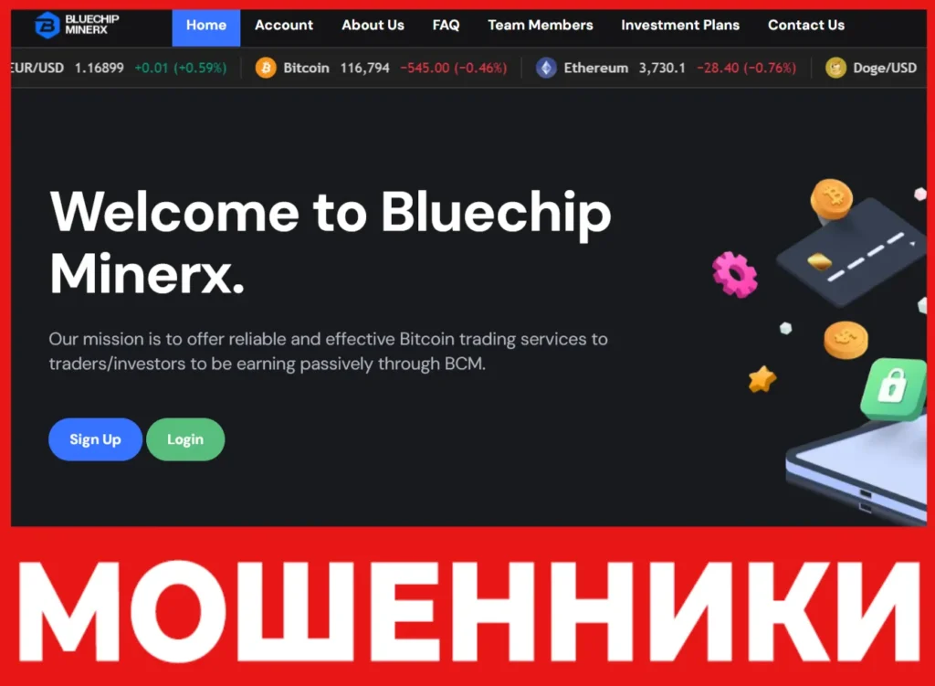 Bluechip Minerx лицевая сторона скрин