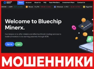 Bluechip Minerx лицевая сторона скрин