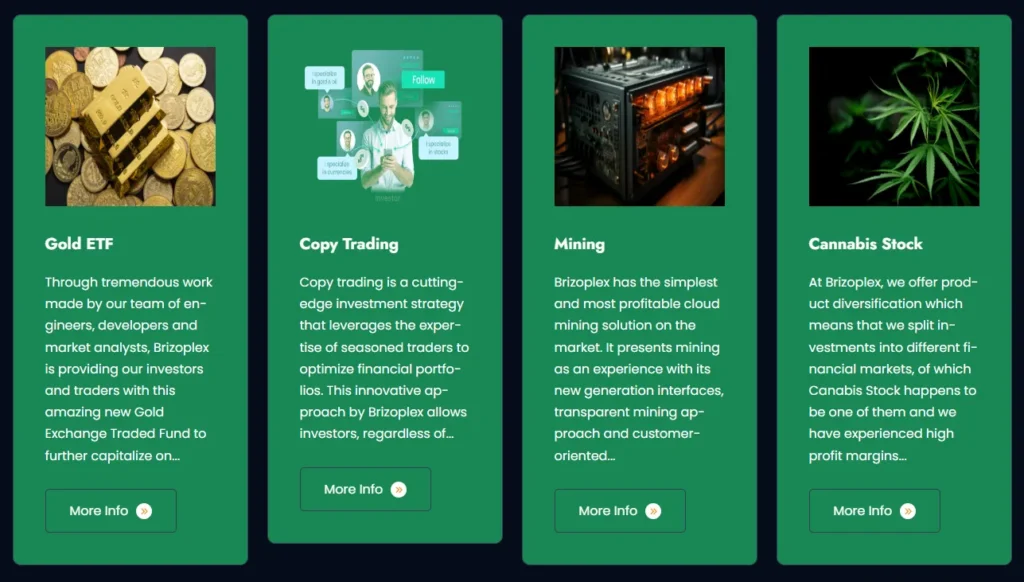 Brizoplex 1 скрин