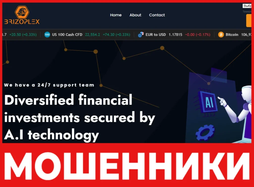 Brizoplex лицевая сторона скрин