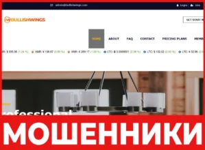 Bullishwings лицевая сторона скрин