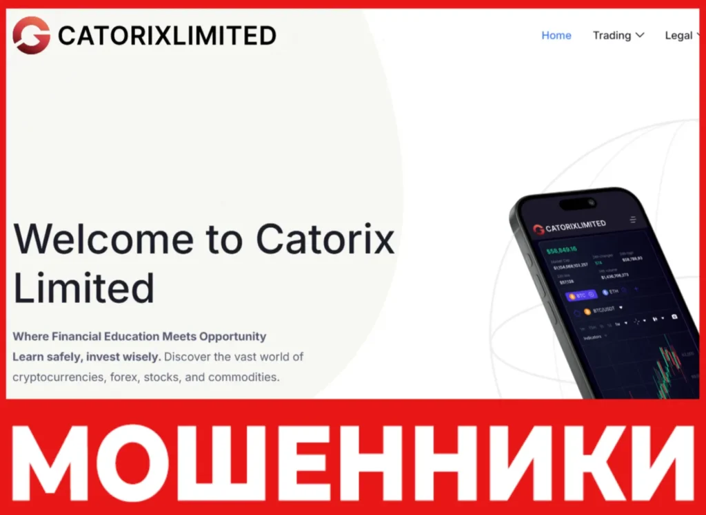 Catorix Limited лицевая сторона скрин