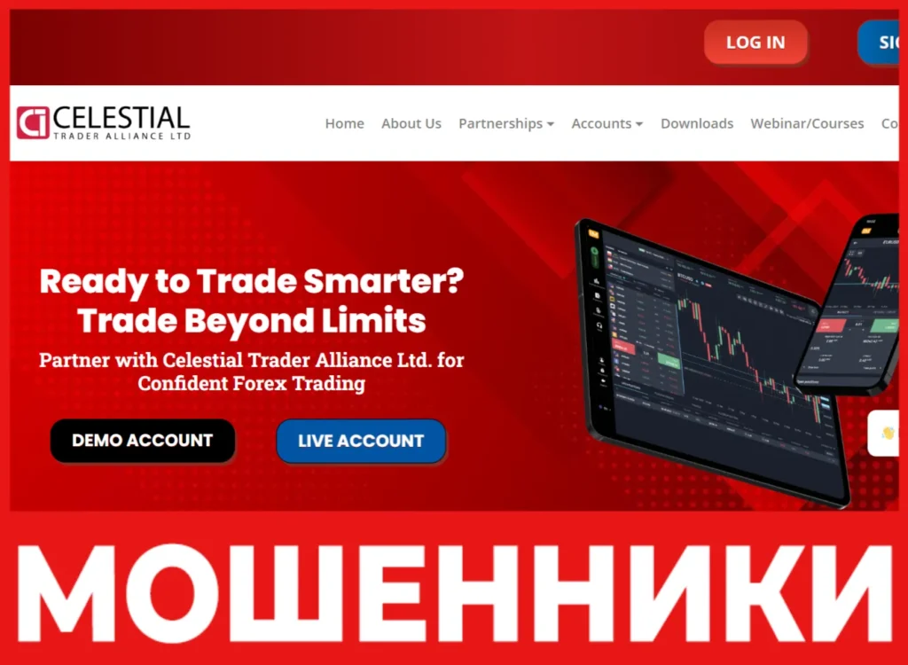 Celestial Trader Alliance Ltd лицевая сторона скрин
