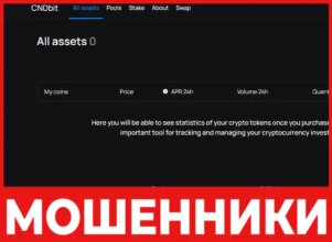 CNDbit лицевая сторона скрин