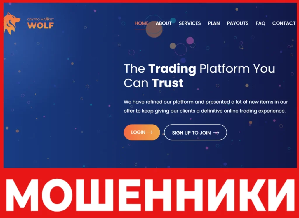 Crypto Market Wolf лицевая сторона скрин