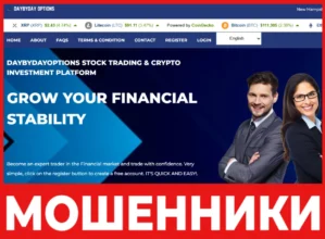 Daybyday Options лицевая сторона скрин