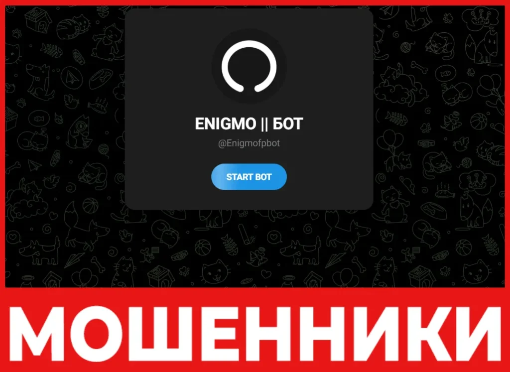 Enigmo лицевая сторона скрин