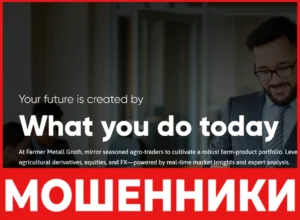 Farmer Metall Groth лицевая сторона скрин