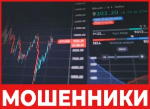 Fino Vault лицевая сторона скрин