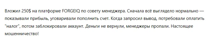 FORGEIQ 3 скрин