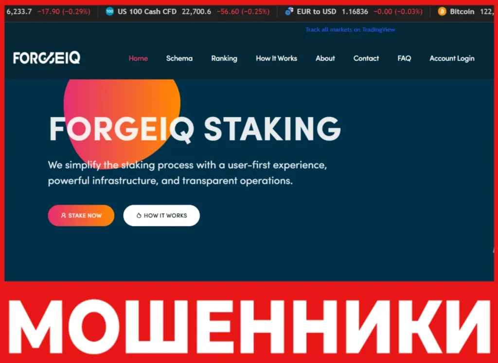 FORGEIQ лицевая сторона скрин