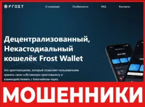 Frost Wallet лицевая сторона скрин
