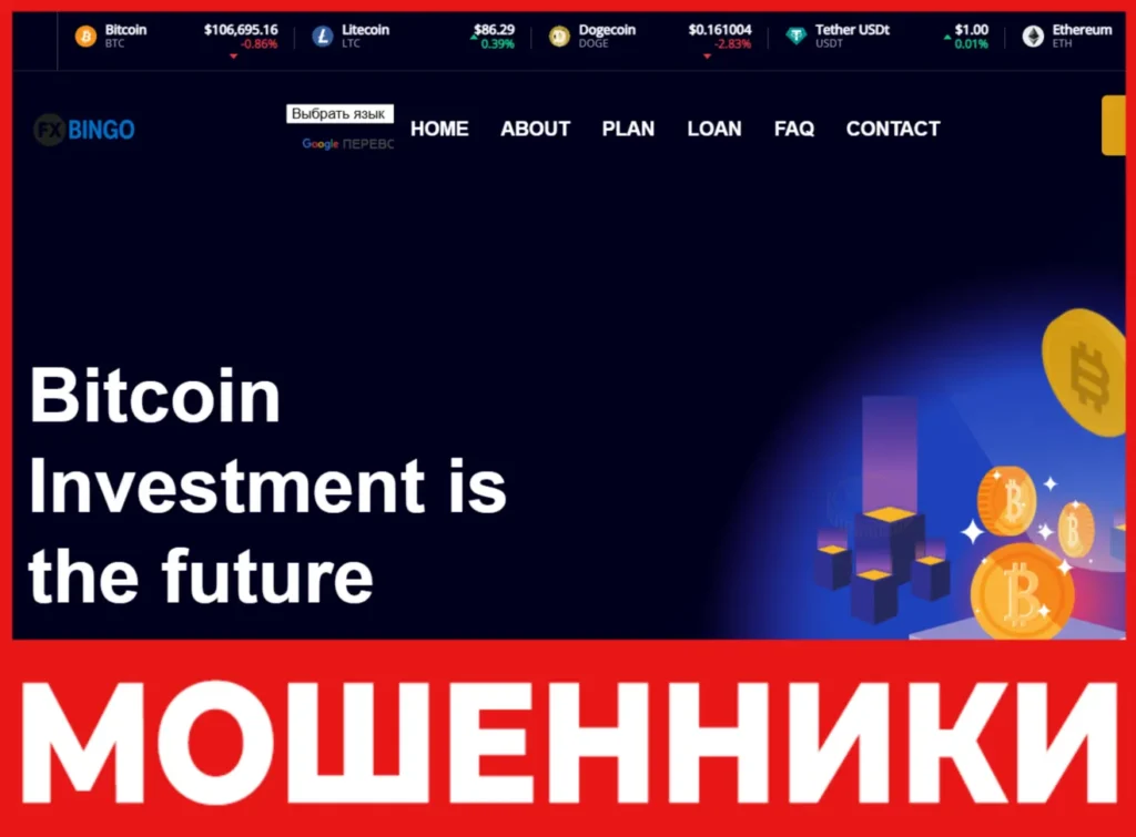 Fxbingo лицевая сторона скрин