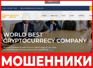 Goldmantechcapital лицевая сторона скрин