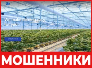 Halal Wealth Partners лицевая сторона скрин