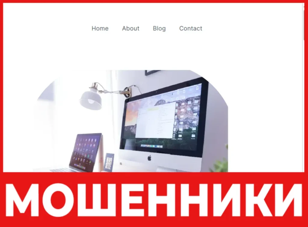 iWebdigitals лицевая сторона скрин