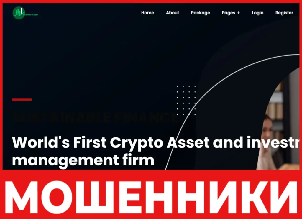 Litepro-asset лицевая сторона скрин