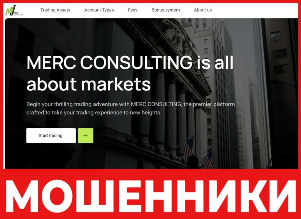 Merc Consulting лицевая сторона скрин