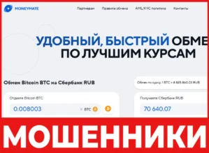 Money Mate лицевая сторона скрин