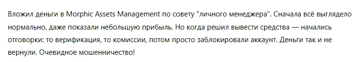 Morphic Assets Management 3 скрин