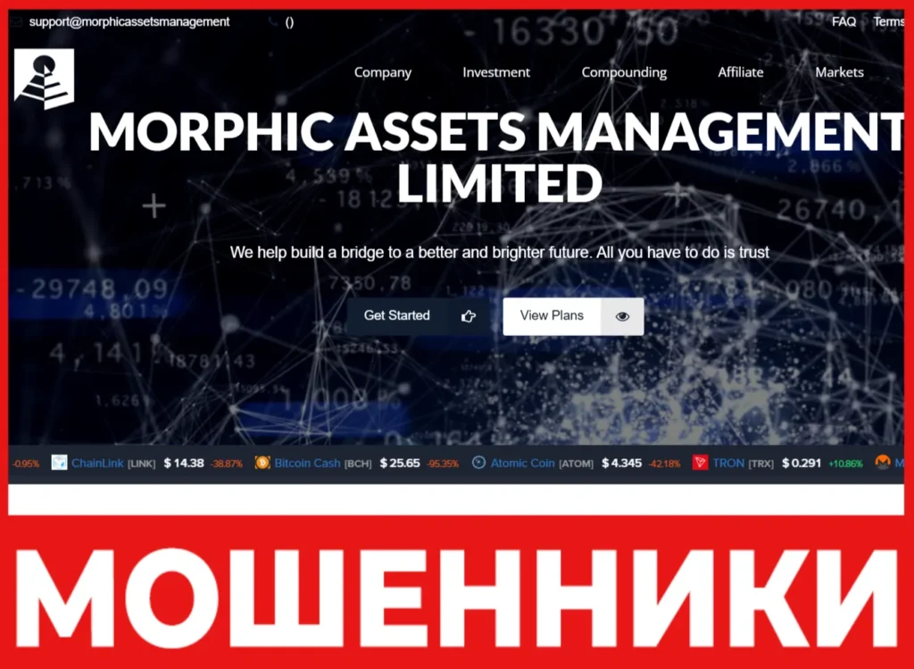 Morphic Assets Management лицевая сторона скрин