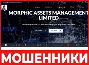 Morphic Assets Management лицевая сторона скрин