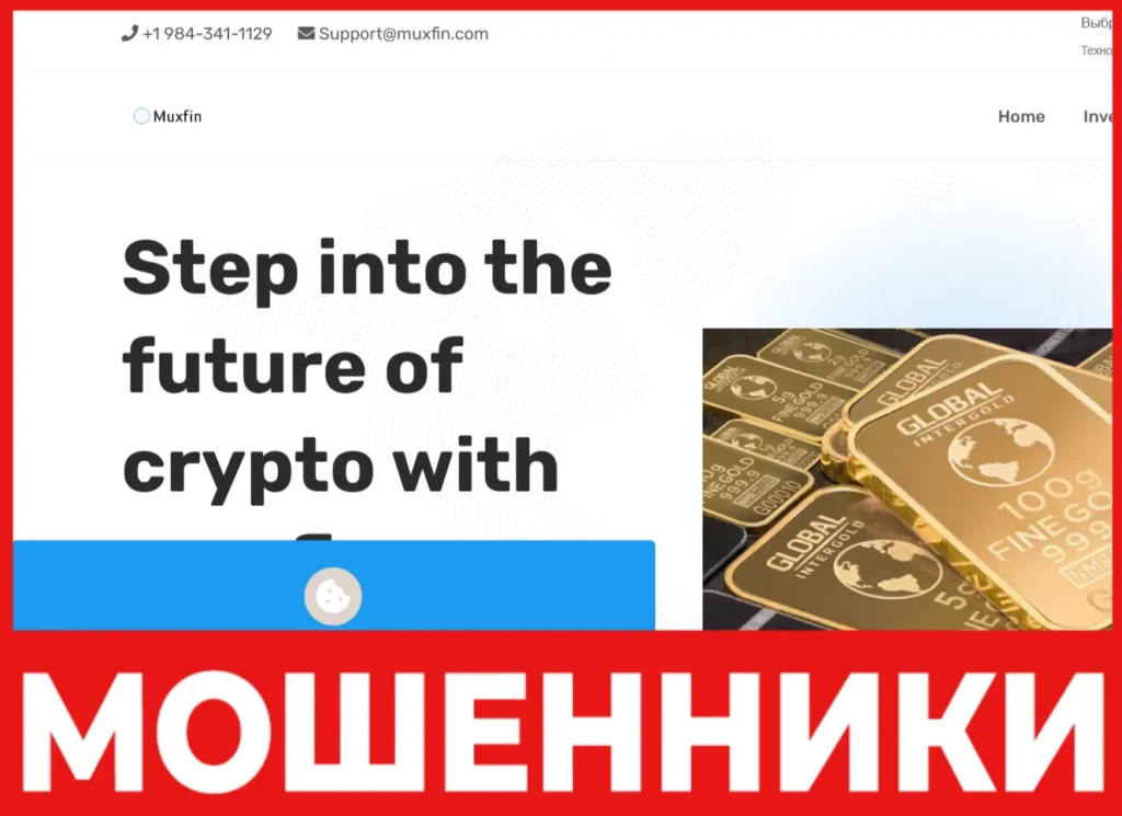 Muxfin лицевая сторона скрин