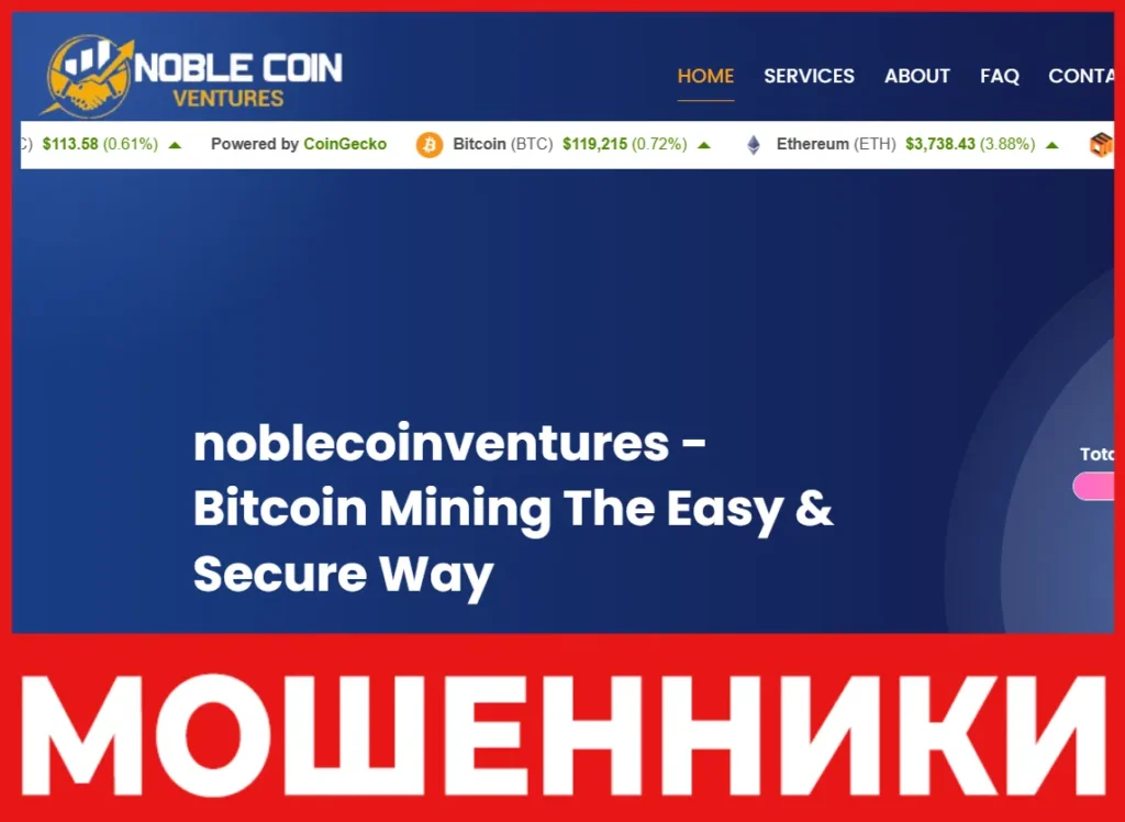 Noble Coin Ventures лицевая сторона скрин