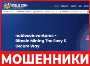 Noble Coin Ventures лицевая сторона скрин