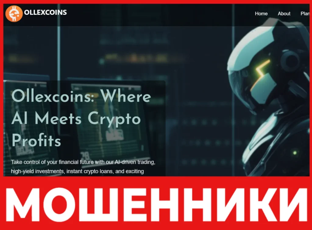 Ollexcoins лицевая сторона скрин