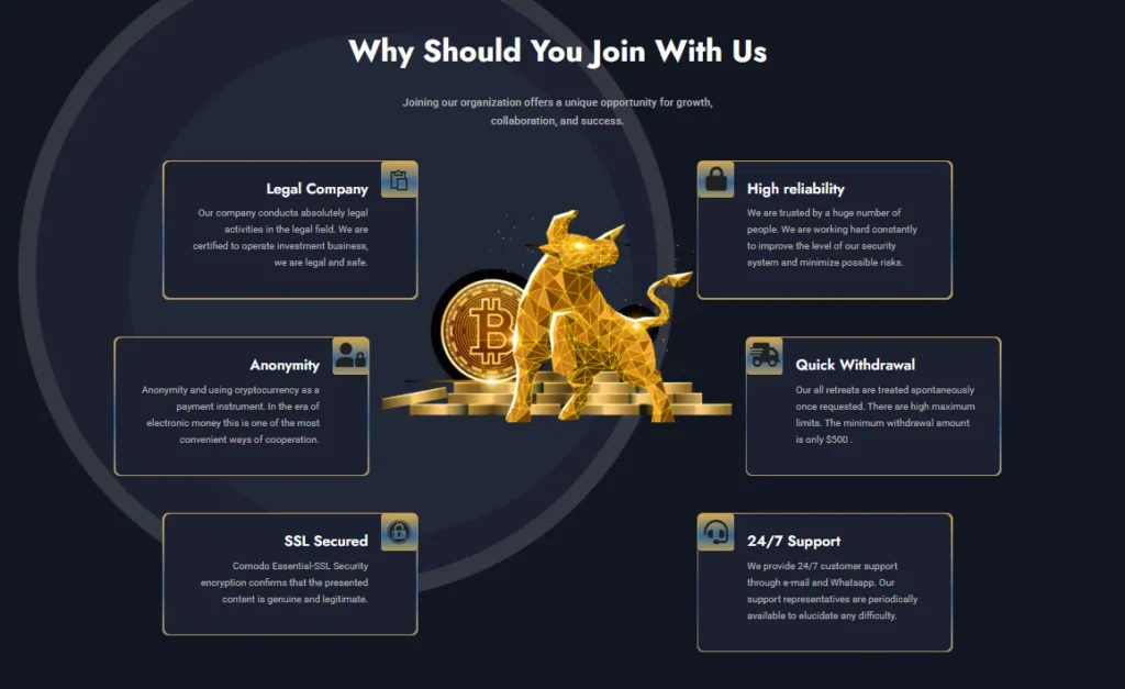 Option FX Group 1 скрин