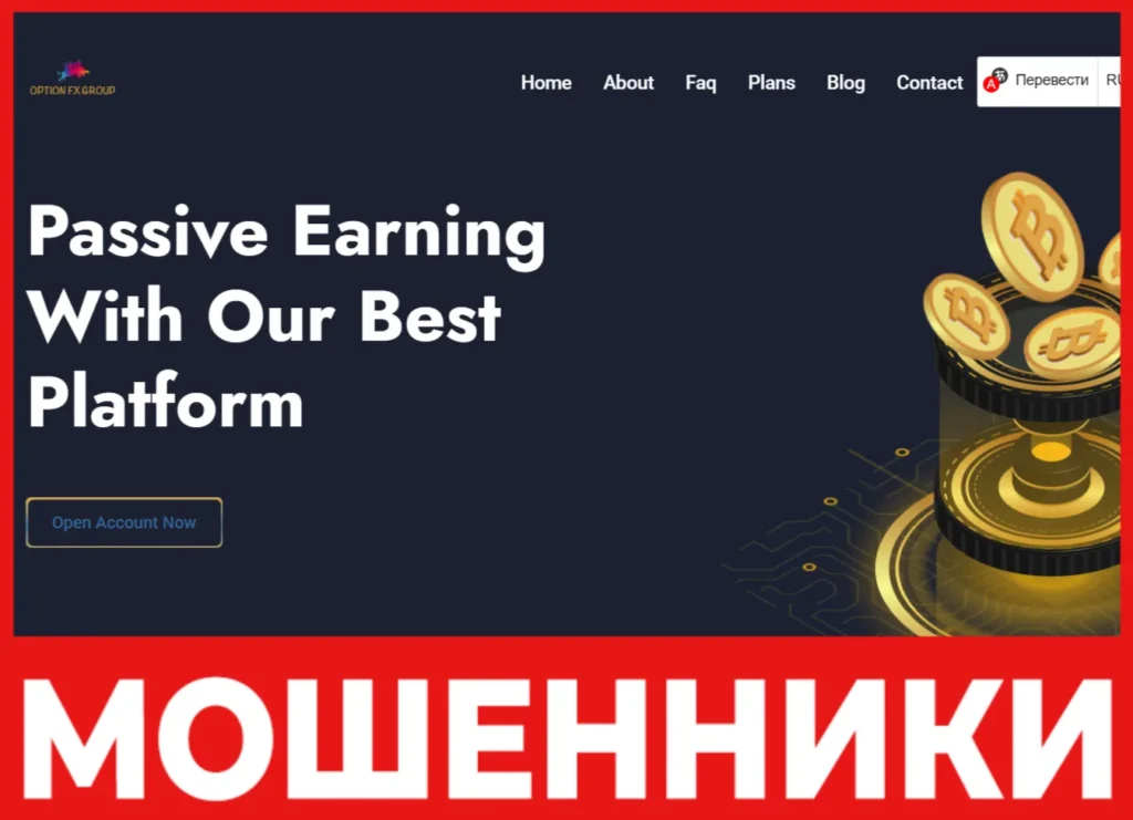 Option FX Group лицевая сторона скрин