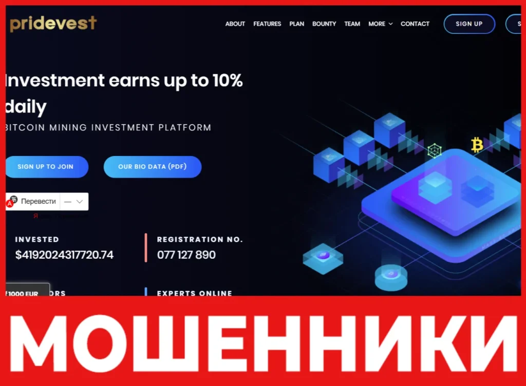 PrideVest лицевая сторона скрин