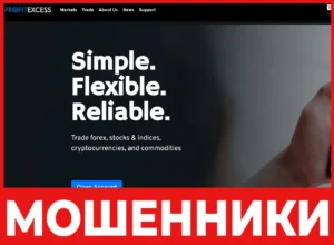 PROFITEXCESS лицевая сторона скрин