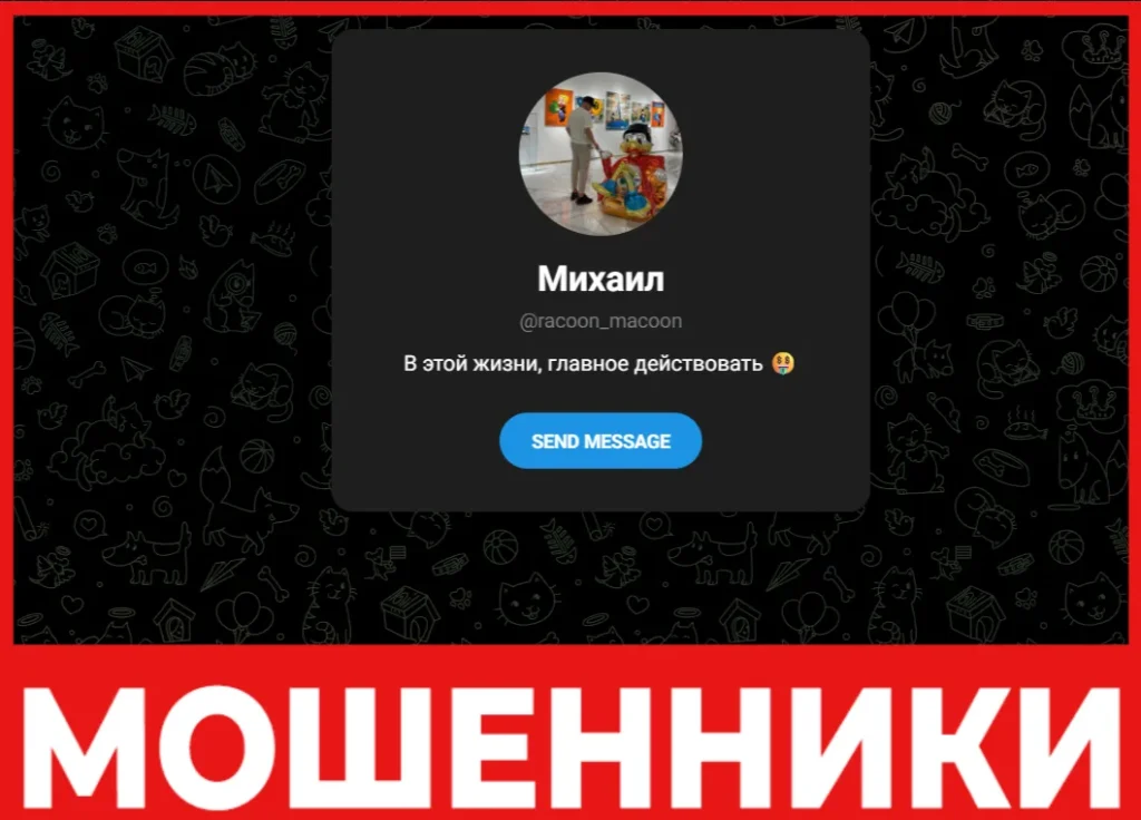 Racoon Macoon лицевая сторона скрин